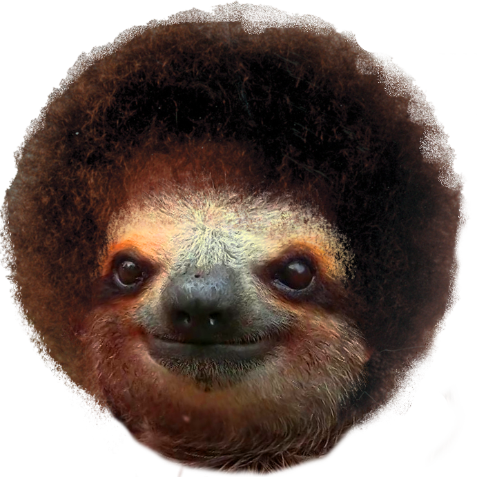 Sloth Ross - Bob Ross And Sloths (691x691), Png Download