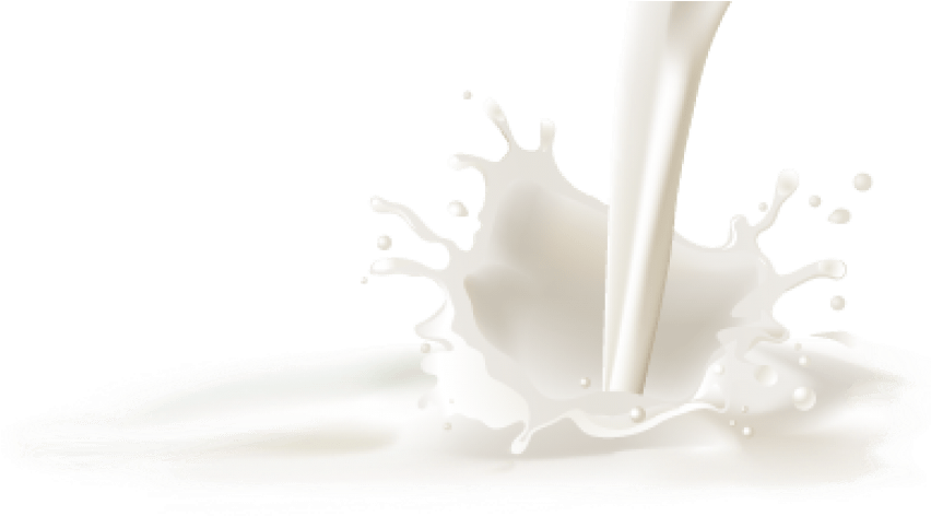 Free Png Milk Png Images Transparent - Milk Png (851x493), Png Download