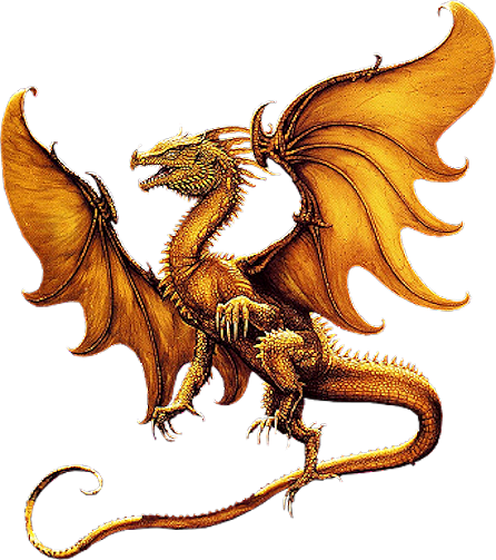 Wild Dragons (446x503), Png Download