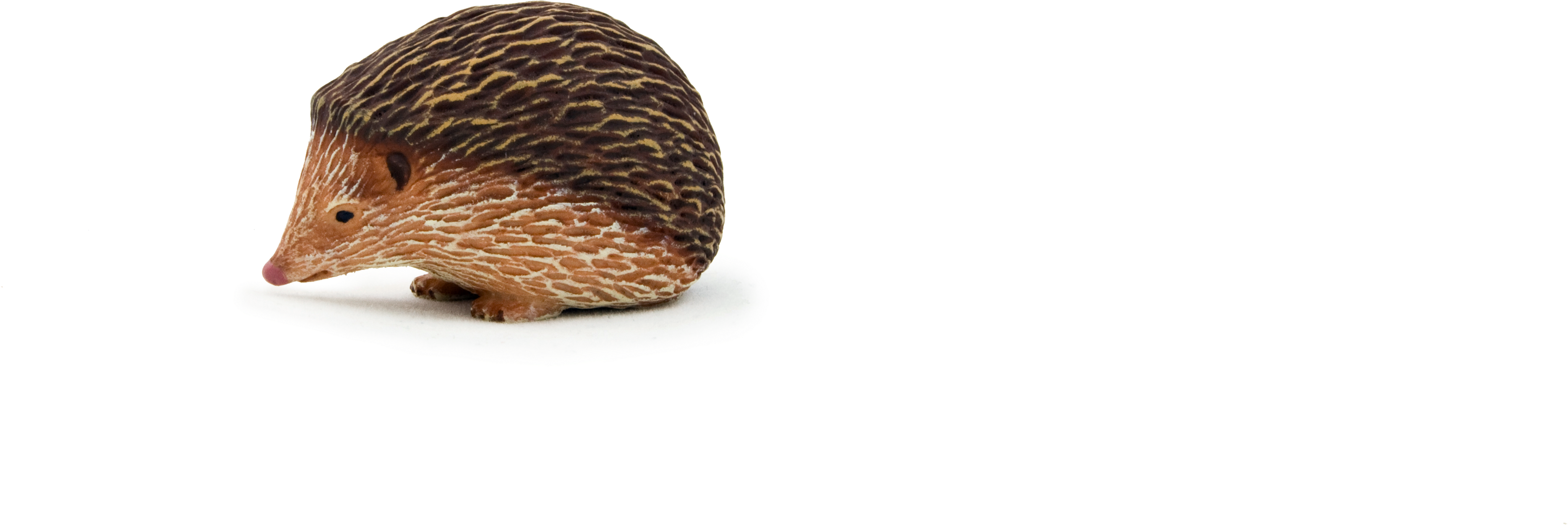 Animal Planet Hedgehog - Animal Planet Hedgehog Figure (5197x3465), Png Download