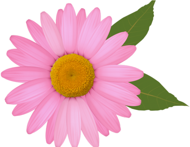 Red Flower Clip Art (640x480), Png Download