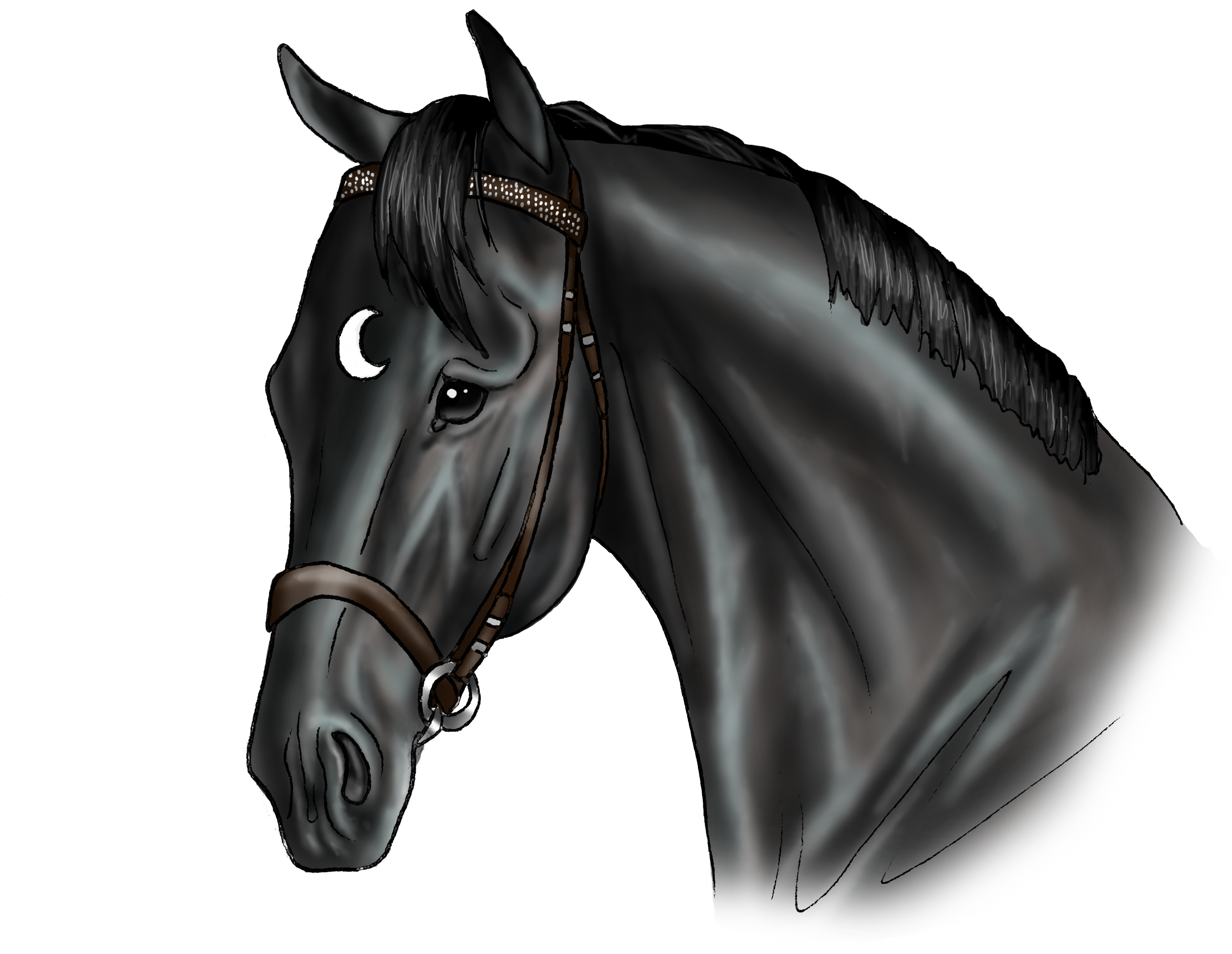 Loki - Stallion (2780x2463), Png Download