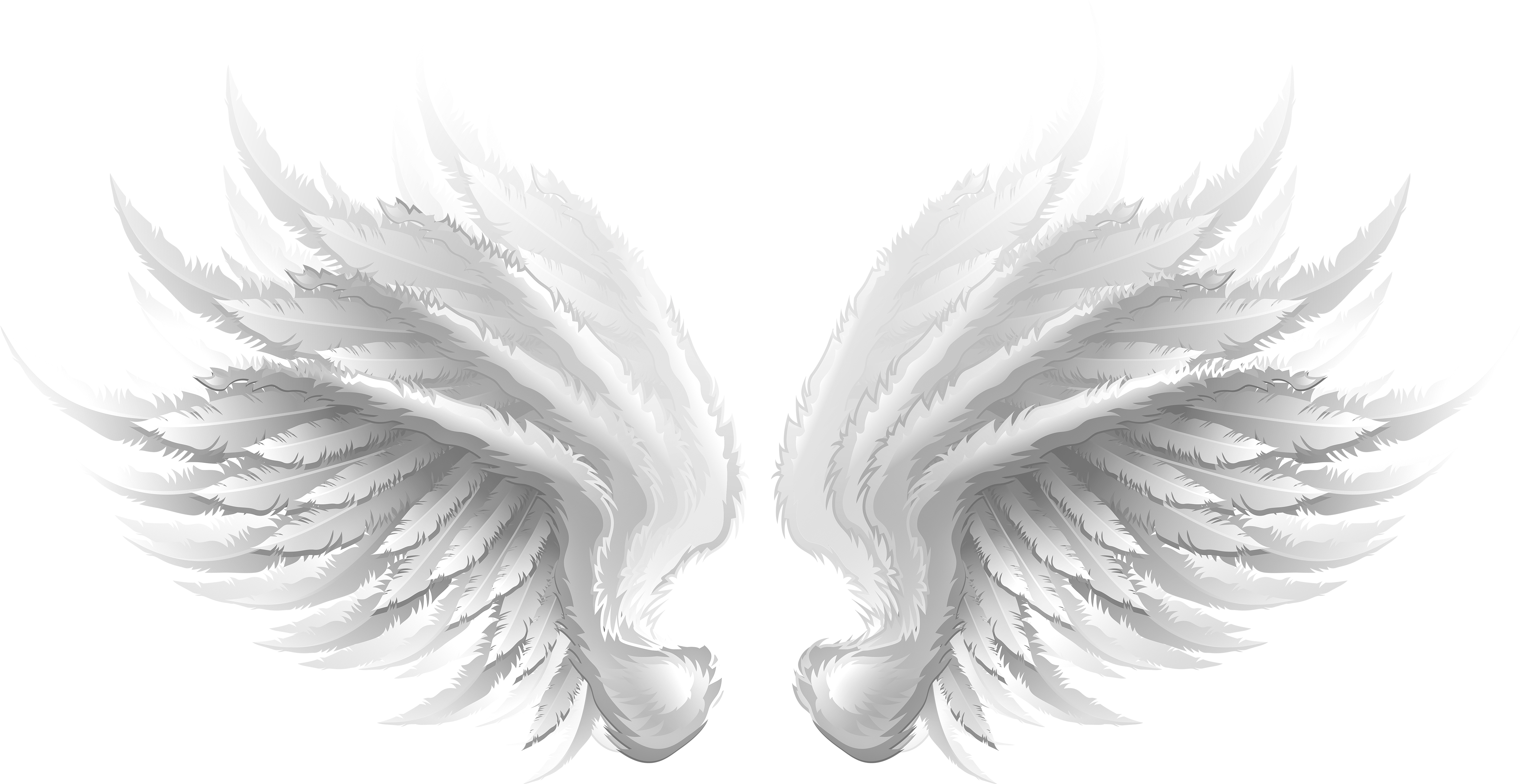 Vector Graphics (5000x2576), Png Download