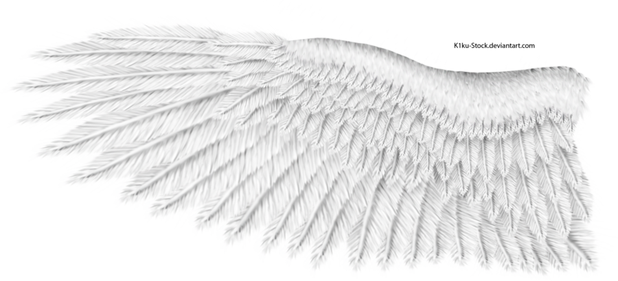 White Wings Png Download Image - White Eagle Wings Png (900x410), Png Download