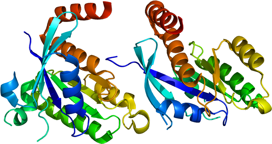 Protein Gem Pdb 2cjw - Protein Data Bank (936x520), Png Download
