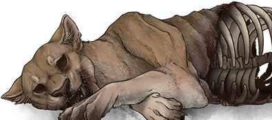 Go To Image - Lion (640x500), Png Download