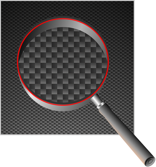 Lupe, Magnifier, Magnify, Magnifying, Glass - Agra Fort (600x640), Png Download