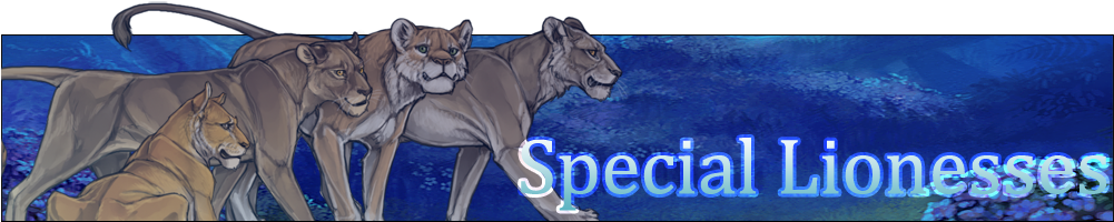 If You've Been On Lioden For At Least A Week, Or Long - Special Lioness Lioden (1000x250), Png Download