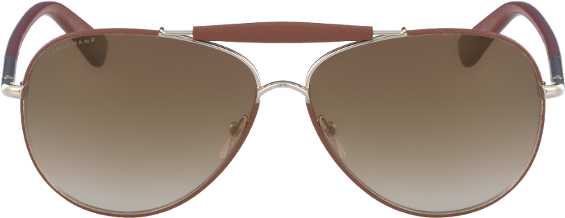 Lunette Longchamp (1117x480), Png Download