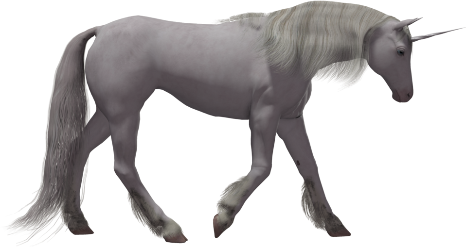 Unicorn Png Image - Unicorn (1024x645), Png Download