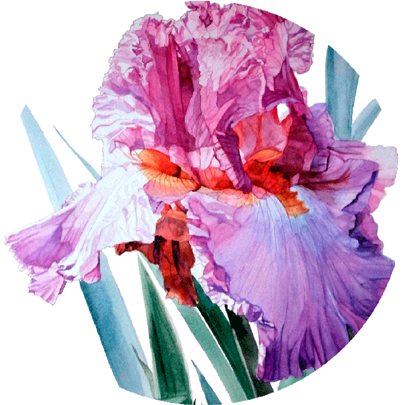 Round Ready To Hang Modern Art From Http - Watercolor Flowers Botanical Art (1369x1378), Png Download