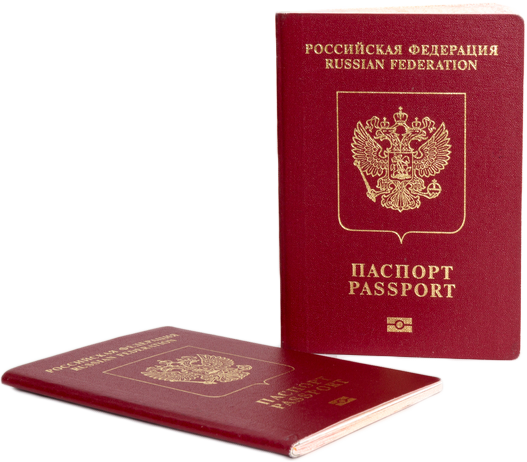 Russian Passport 2016 (527x462), Png Download