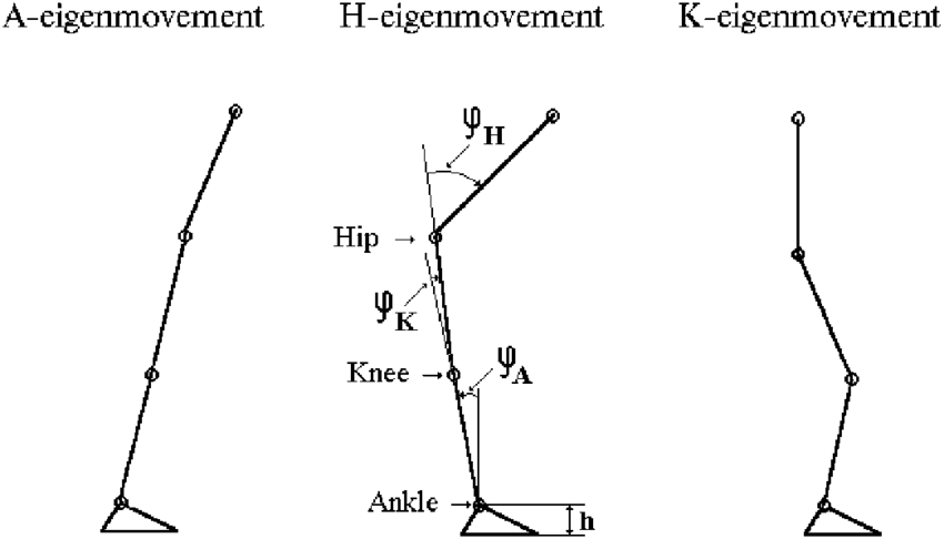 Png Black And White Library Ankle Drawing Foot Angle - Ankle (850x486), Png Download