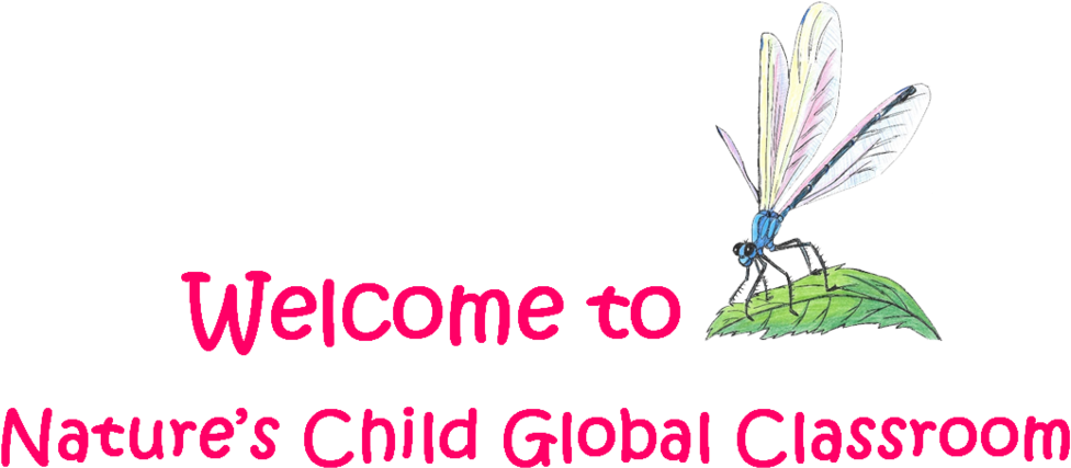 Classroom - Png - School (1000x444), Png Download