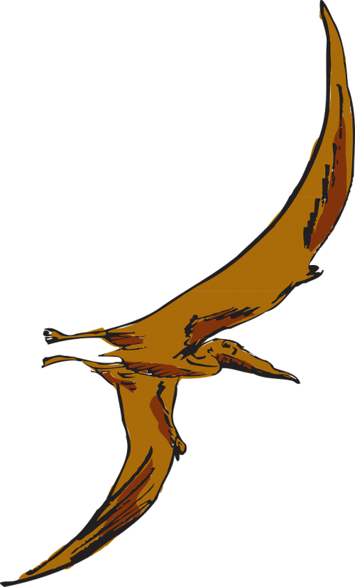 Pterodactyl Transparent Orange Banner Transparent Library - Pterodactyl Clipart Transparent (360x595), Png Download