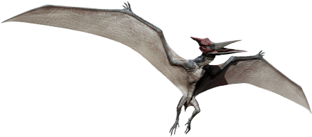 Pterodactyl Transparent Jurassic World - Jurassic World Dinozorları Oyun (800x207), Png Download