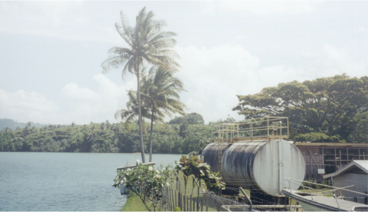 Pterosaur Alive Finschhafen Harbor, Papua New Guinea, - Extinction (738x425), Png Download