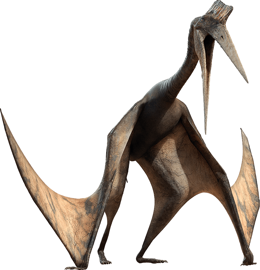 Clipart Royalty Free Alive Wiki Fandom Powered By Wikia - Pterosaur Png (864x898), Png Download