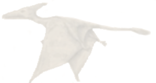 Statistical Analysis On The Number Of Reported Sightings - Fish (502x269), Png Download