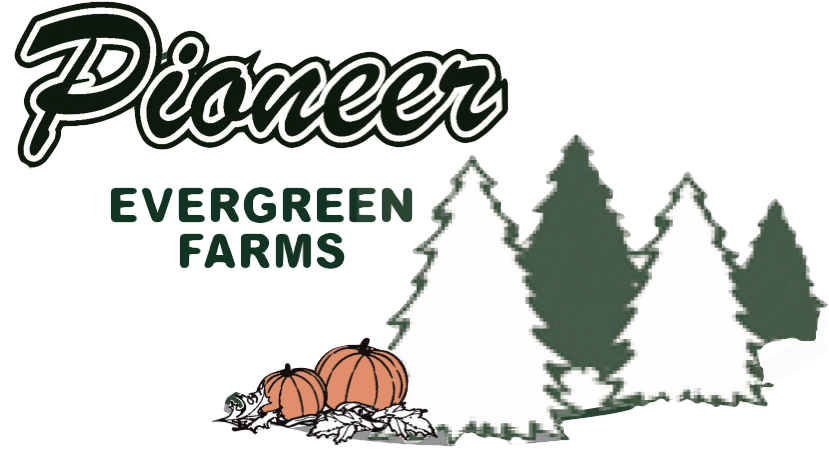 Christmas - Hit Crew / Drews Pizza Party Music (1000x463), Png Download