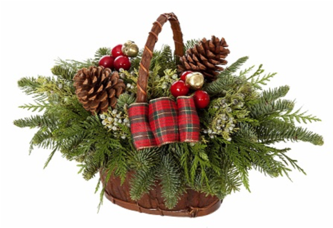 Jingle Bell Basket - Cactus (480x480), Png Download