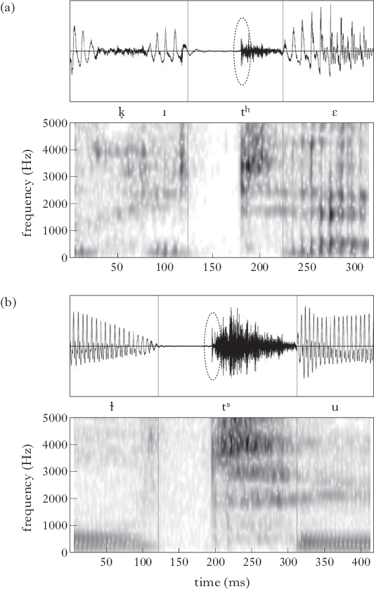 Waveform And Spectrogram Of An Instance Of [th], In - Diagram (532x839), Png Download