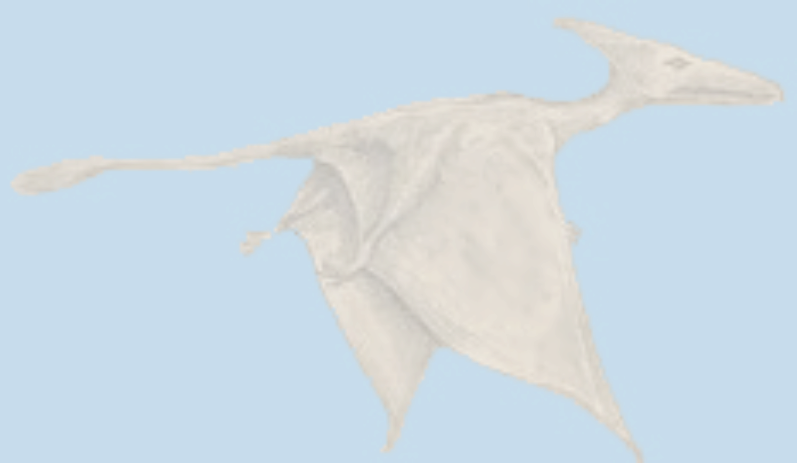 Science & Religion, But This Nonfiction “bible Of Modern - Pterosaur Sighting (798x463), Png Download