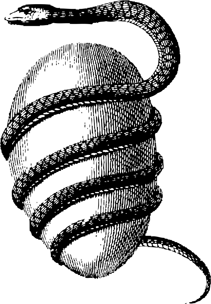 Serpent And Egg - Orphic Egg (712x1024), Png Download