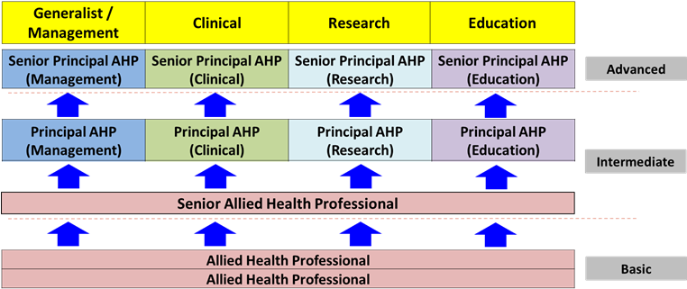 Ahp Career Track - Portable Network Graphics (761x334), Png Download