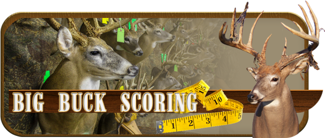 Big Buck Scoring - Portable Network Graphics (700x300), Png Download