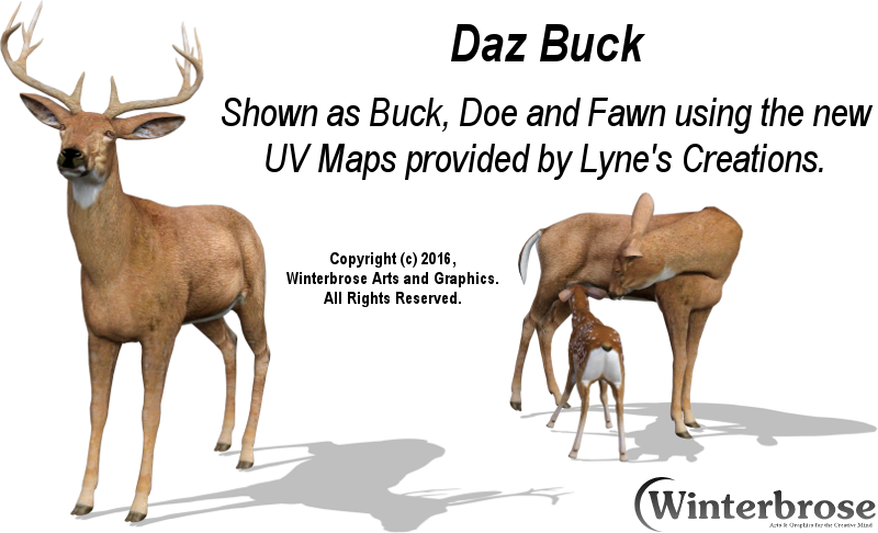 Daz Buck Doe Fawn With New Uv Map From Lyne's Creations - Callback (800x486), Png Download