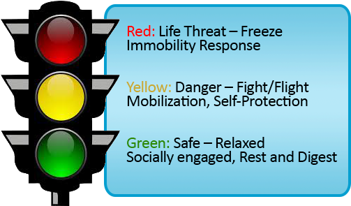 Trafficlight-danger - Fight Flight Freeze Please (509x294), Png Download