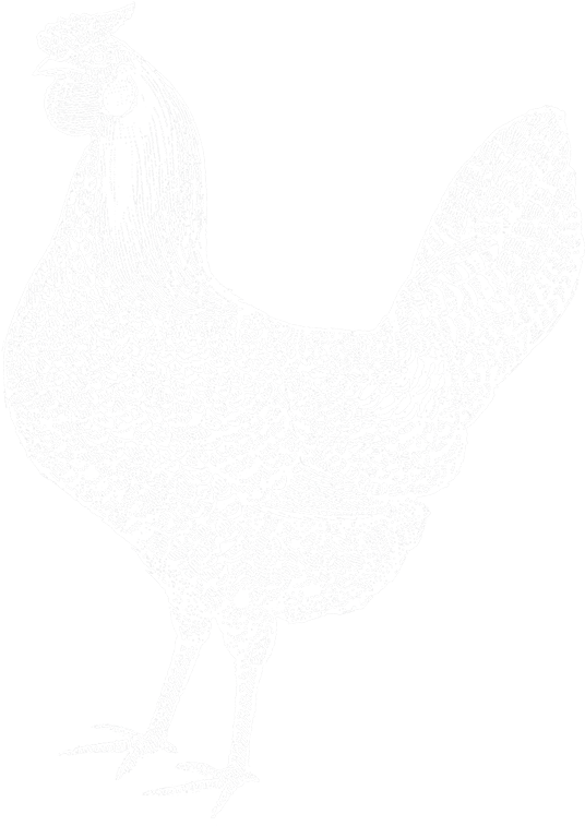 Australian Heritage Breed Chickens - Chicken (800x800), Png Download