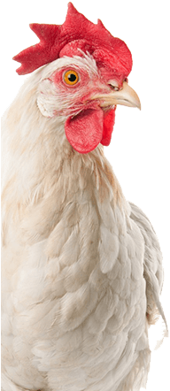 Save 10% When You Sign Up - Icd 10 Funny (348x481), Png Download