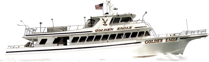 Fishing Friends Village - Golden Eagle Fishing Boat (736x246), Png Download