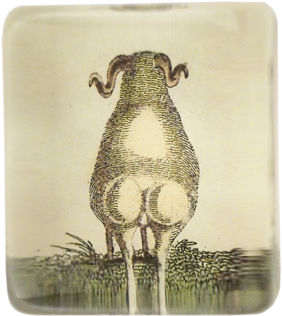 Sheep Butt Sheep Butt - Sheep (500x500), Png Download