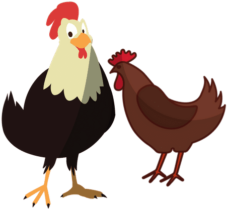 Chickens - 0shares - Protein Important (500x500), Png Download