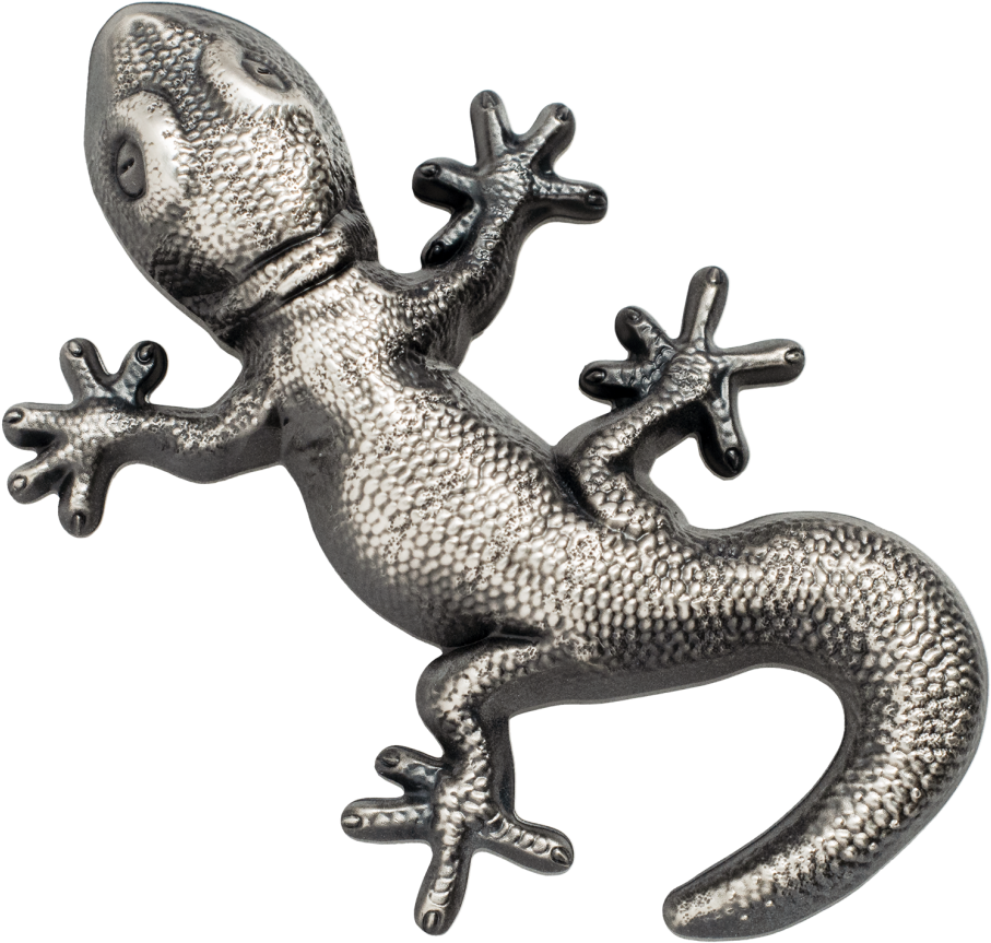 Silver Gecko - Geco (910x910), Png Download