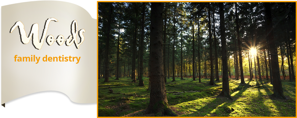 Woods Family Dentistry - Wilber Park Oneonta Ny (971x403), Png Download