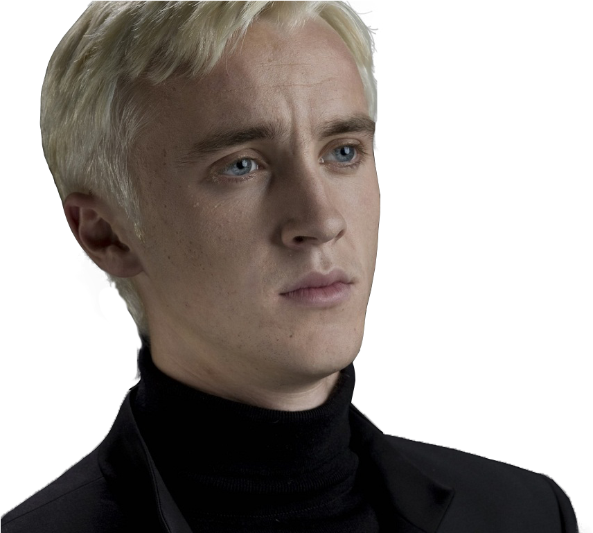 Draco Png - Tom Felton (1024x768), Png Download