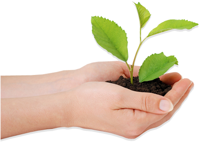 Environmental Management System - Hand Environment (413x298), Png Download