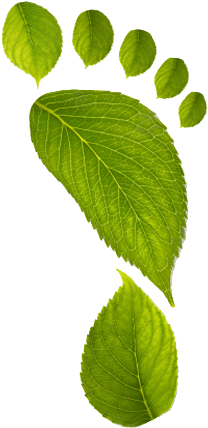 Low Carbon Footprint - Foot Print Out Of Leaves (265x463), Png Download