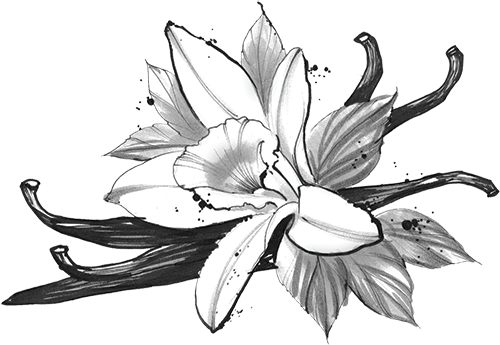 Liquid Spiritual Delight With Vanilla - Liquid (500x345), Png Download