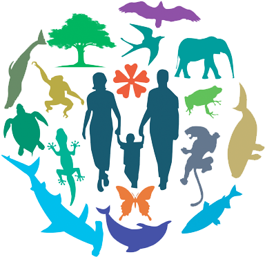 Each Year, 22 May Is Celebrated As World Biodiversity - Poster On Loss Of Biodiversity (400x450), Png Download