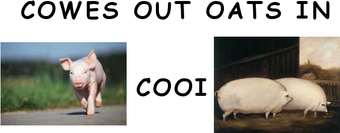 Post - Piggies Schweinchen 2011. Artwork Edition - Broché (777x339), Png Download