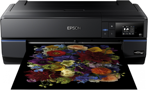 Surecolor Sc-p800 - Epson P800 (509x310), Png Download