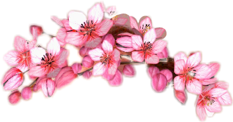 Snapchat Sticker By Karkar - Snapchat (790x415), Png Download