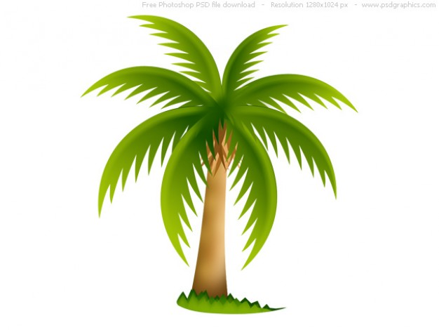 Palmera - Palm Tree Clip Art (626x470), Png Download