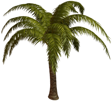 Gif Anime Palmera - Пальмы На Прозрачном Фоне (400x362), Png Download