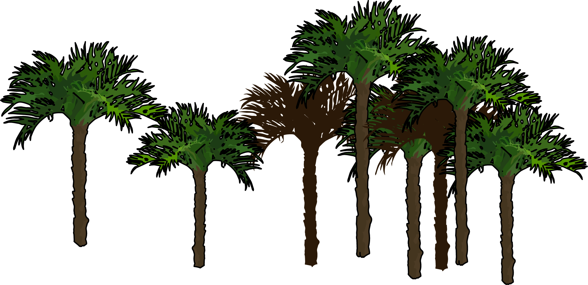 Palmeras Png - Palmeras Png Sin Fondo (1964x953), Png Download